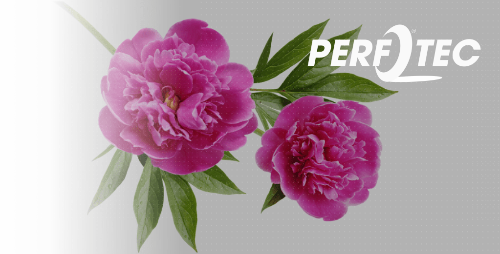 PerfoTec Liners: Revolutionizing Peony Storage and&nbsp;Transport